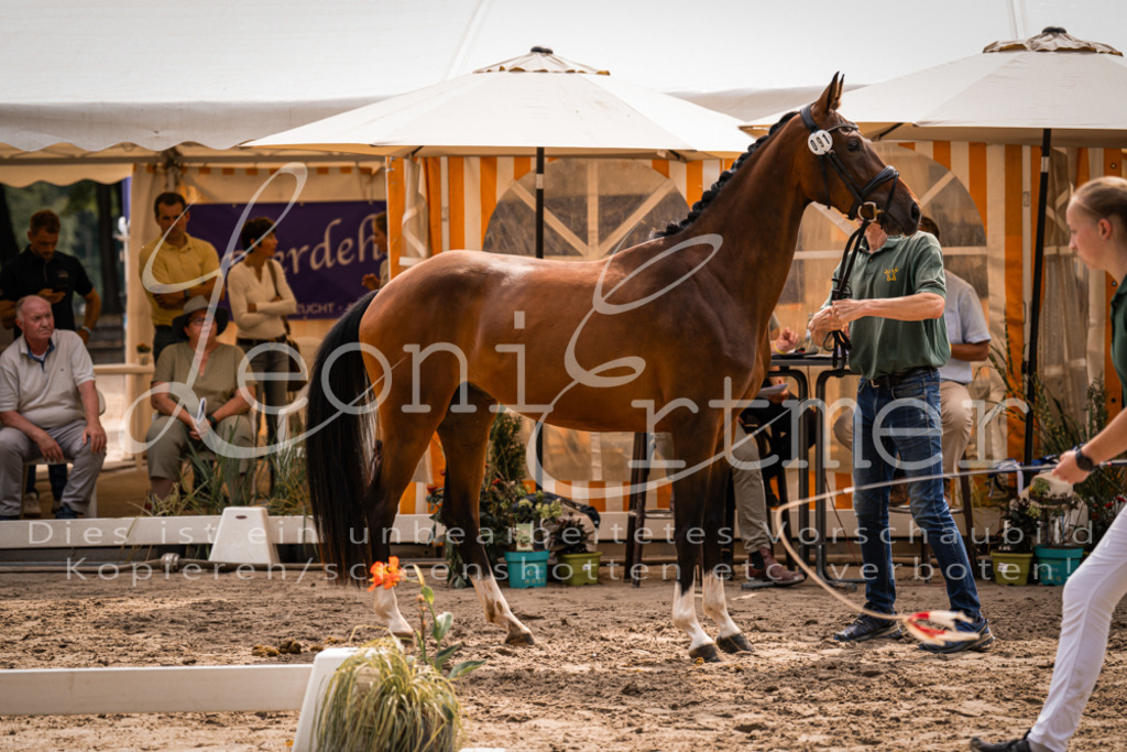 6.Fr00091 | Leoni Ertmer Photography - Realisiert mit Pictrs.com