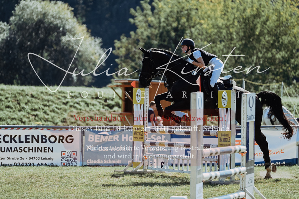 DSC_6014 | Pferde- und Turnierfotografie in Westsachsen. Pferdeportraits, Auftragszeichnungen und intuitive Kunst.