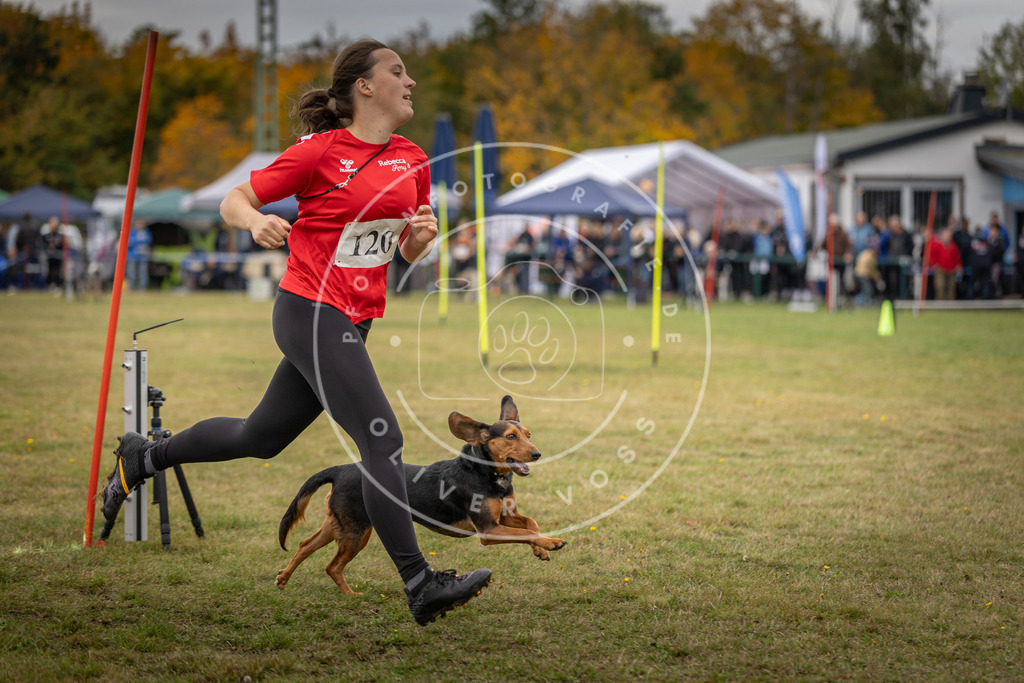 Pfotenfotografie_DV3A7553 | Hundefotografie, Tierfotograf, Pfotenfotografie, Fotoshooting Hund, Hunde Portrait, Hundesport, Hundeportraits, Heideshooting, Hunde, Sportfotograf, Hundefotograf, Turnierhundsport, THS,  - Realisiert mit Pictrs.com