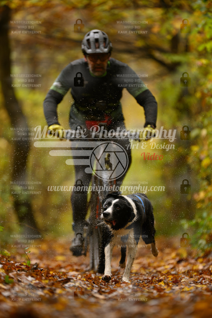 MompixPhotography_CD7S_DI_Bike-24 | mompixphotography