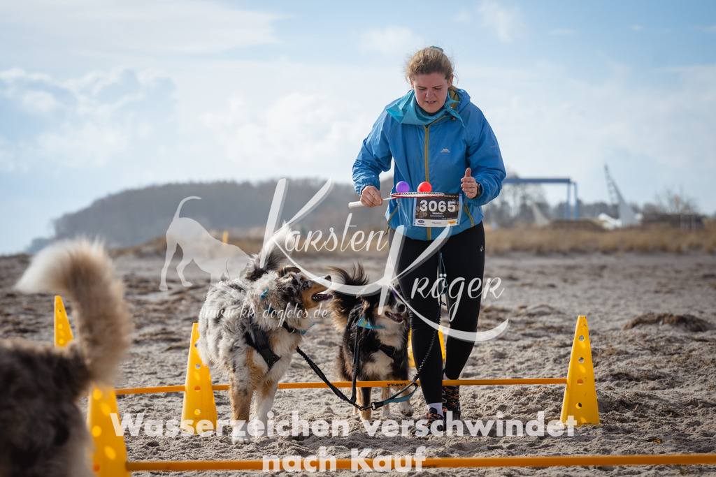 1240_ZZ98179 | kk-dogfotos