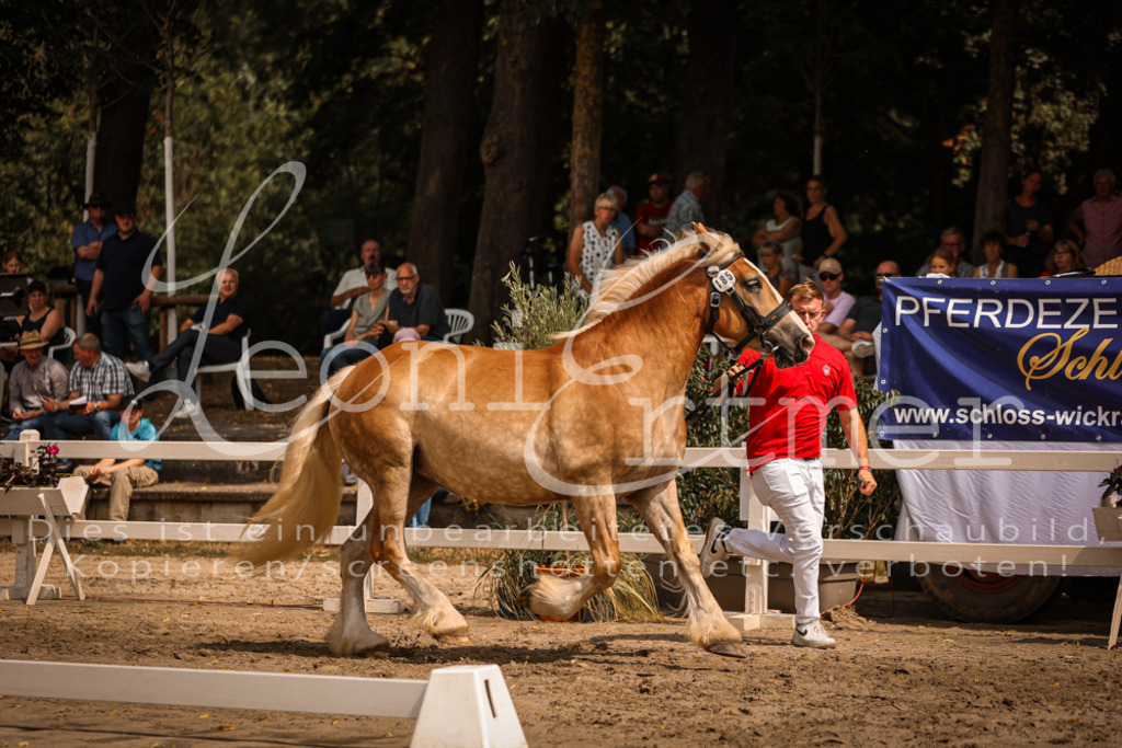 2.Sa00055 | Leoni Ertmer Photography - Realisiert mit Pictrs.com