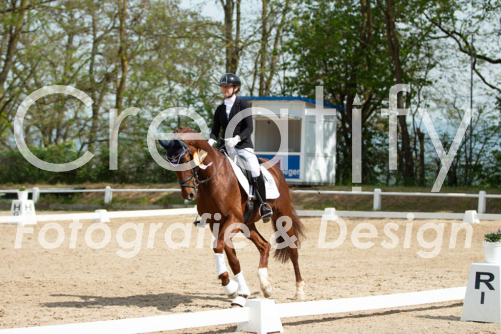 IMG_1949 | Creatify Fotografie