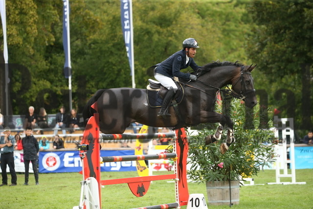 Bietigheim_2022_Prfg.Nr.02_Springen_Kl.S_BW-Bank_Qualifikation_Mohamad Mogheeth Alshehab_Secret Escape_Stechen (10) | Alle Fotos der Reiterjournal Fotografin Doris Matthaes im Reiterjournal Online-Fotoshop. - Realisiert mit Pictrs.com