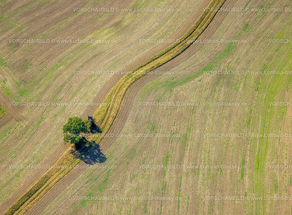 Hattingen220808001 | Luftbild, Baum im Feld mit Hochsitz, Wiesen und Felder, Wodantal, Oberbredenscheid, Hattingen, Ruhrgebiet, Nordrhein-Westfalen, Deutschland