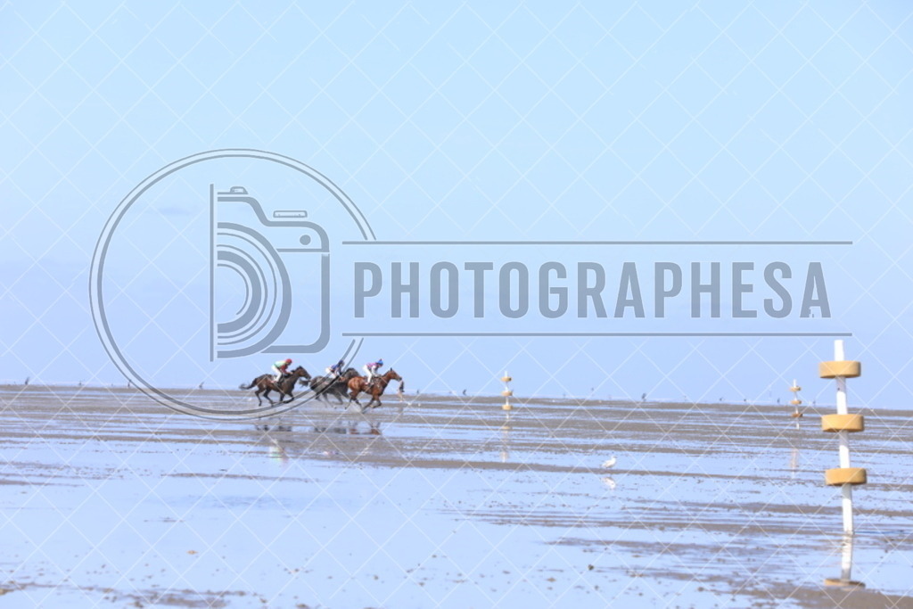 IMG_8881 | photographesa-joergens - Realisiert mit Pictrs.com