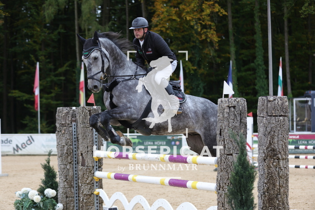 0P6A1793 | Willkommen bei Brunnmayr - Design & Fotografie – Ihrem Spezialisten für Reitturniere und Pferdeveranstaltungen in Oberösterreich, Salzburg und Bayern! Seit über 17 Jahren sind wir leidenschaftlich dabei.