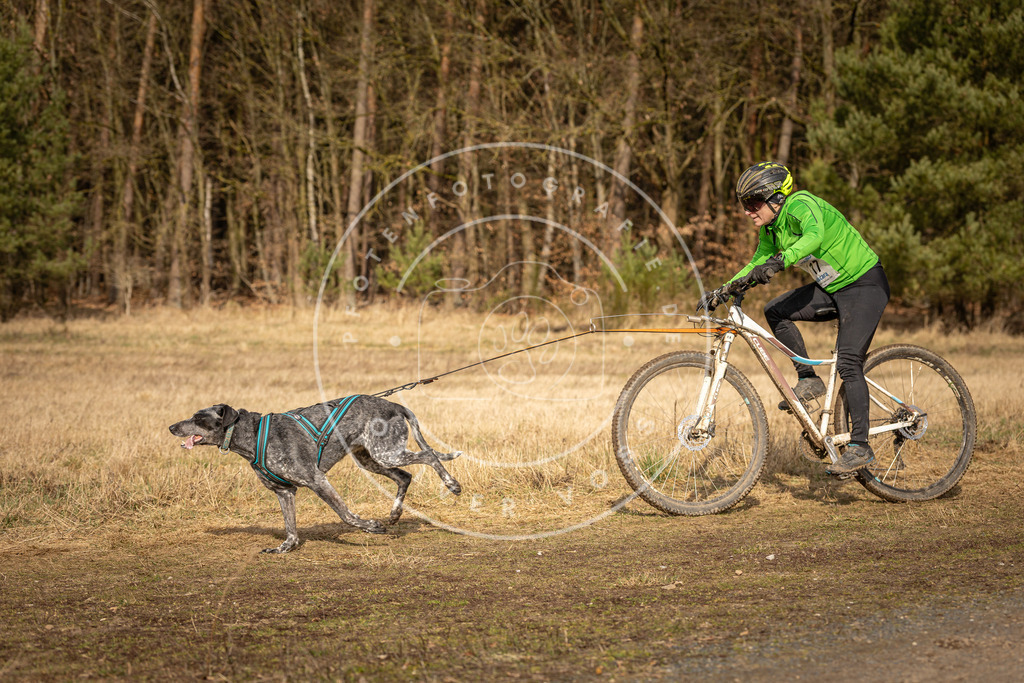 DV3A4428 | Hundefotografie, Tierfotograf, Pfotenfotografie, Fotoshooting Hund, Hunde Portrait, Hundesport, Hundeportraits, Heideshooting, Hunde, Sportfotograf, Hundefotograf, Turnierhundsport, THS,  - Realisiert mit Pictrs.com