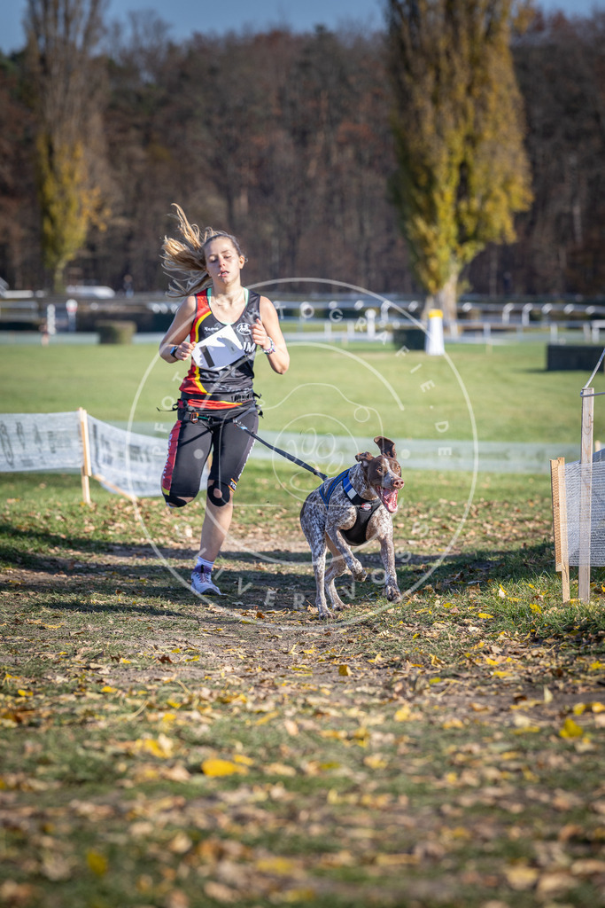 CaniXpix_DV3A9208 | Hundefotografie, Tierfotograf, Pfotenfotografie, Fotoshooting Hund, Hunde Portrait, Hundesport, Hundeportraits, Heideshooting, Hunde, Sportfotograf, Hundefotograf, Turnierhundsport, THS,  - Realisiert mit Pictrs.com