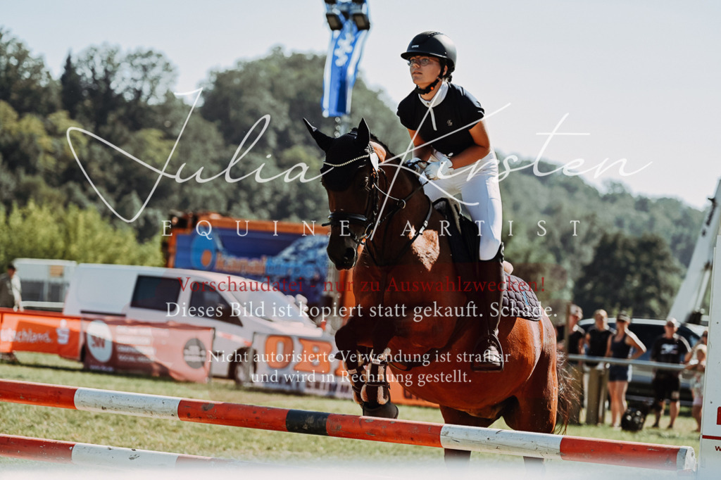 DSC_6959 | Pferde- und Turnierfotografie in Westsachsen. Pferdeportraits, Auftragszeichnungen und intuitive Kunst.
