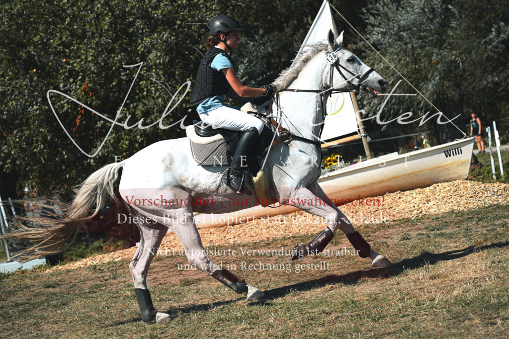 DSC_7957-2 | Pferde- und Turnierfotografie in Westsachsen. Pferdeportraits, Auftragszeichnungen und intuitive Kunst.