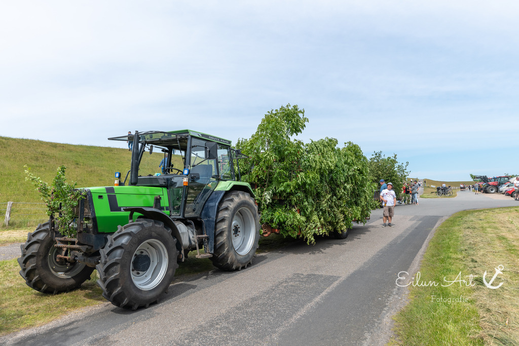 EAF_0800 | Eilun-Art-Fotografie Levke Martens, ihre Fotografin für Immobilien- und Landschaftsfotografie auf Föhr, Föhrer Motive als Poster, Leinwand, hinter Acrylglas oder stelle dir deinen eigenen Monatskalender zusammen, mit nur einem Klick