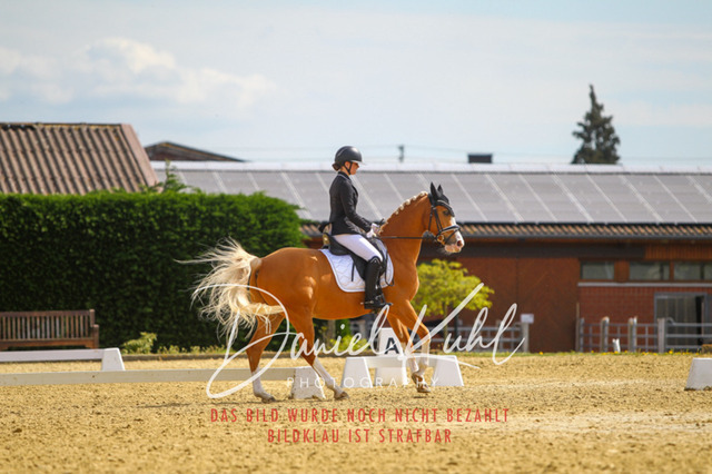 DKP40889 | Turniersportfotografie; Pferdefotografie; Dressurfotografie