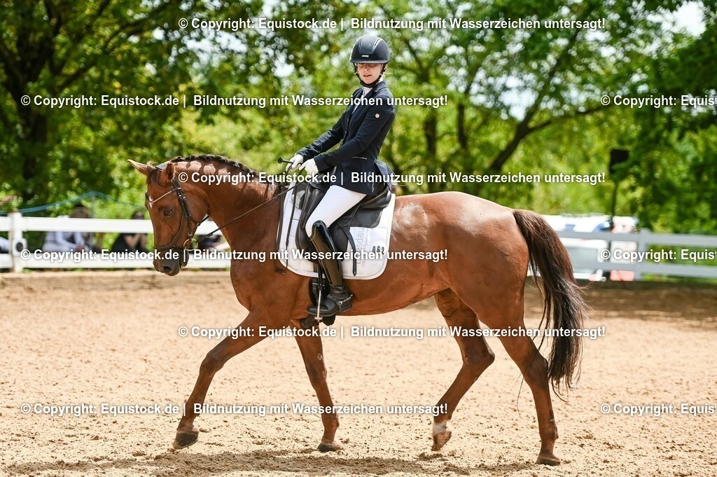20230716_03_Dressurprfg. Kl.L - Tr._0383 | equistock