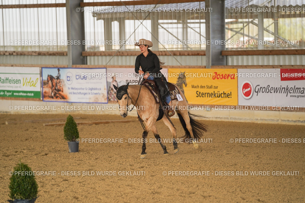 DSC01501 | Pferdegrafie