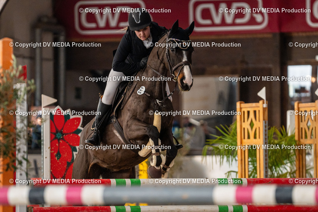 Kranichstein Tag 1-076 | dv-media-shop - Realisiert mit Pictrs.com