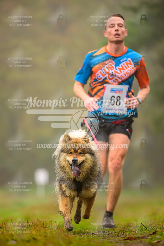 MompixPhotography_Bischwiller2025_Canicross-97 | mompixphotography