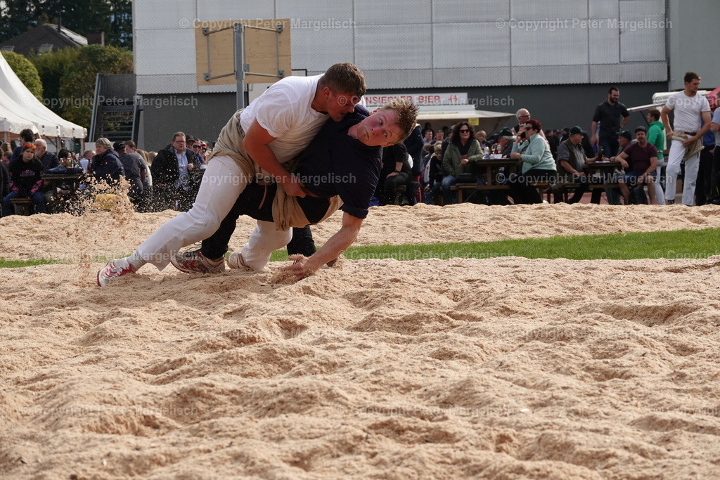DSC08477 | Schwingen - Realisiert mit Pictrs.com