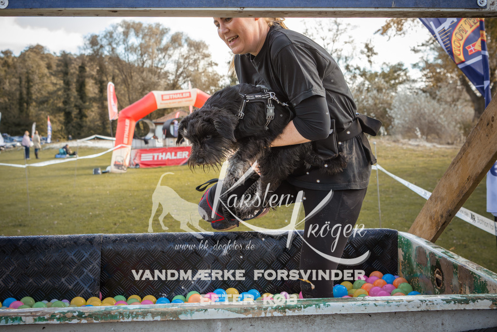 1321_ZZ90297-2 | kk-dogfotos