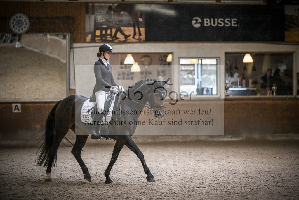 DOS_0367 | Entdecke hochwertige Reitturnierfotos von Foto Oger. Professionell, emotional und authentisch – jetzt Lieblingsmomente im Shop bestellen.Deutschlandweite Turnierfotografie. - Realisiert mit Pictrs.com