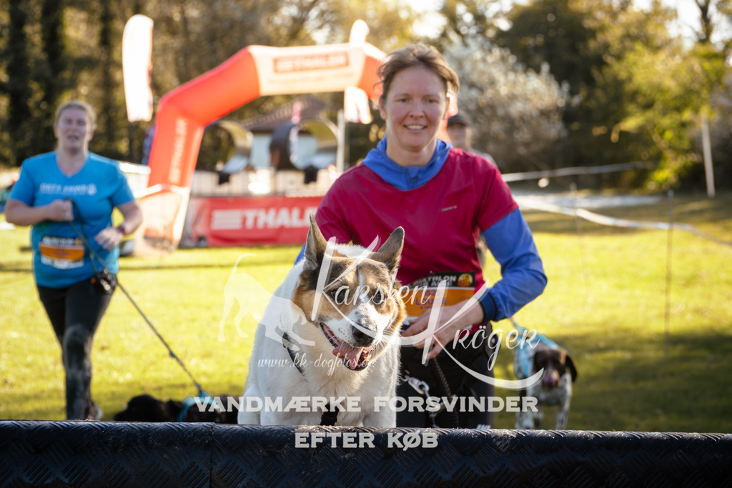 1207_ZZ94669 | kk-dogfotos