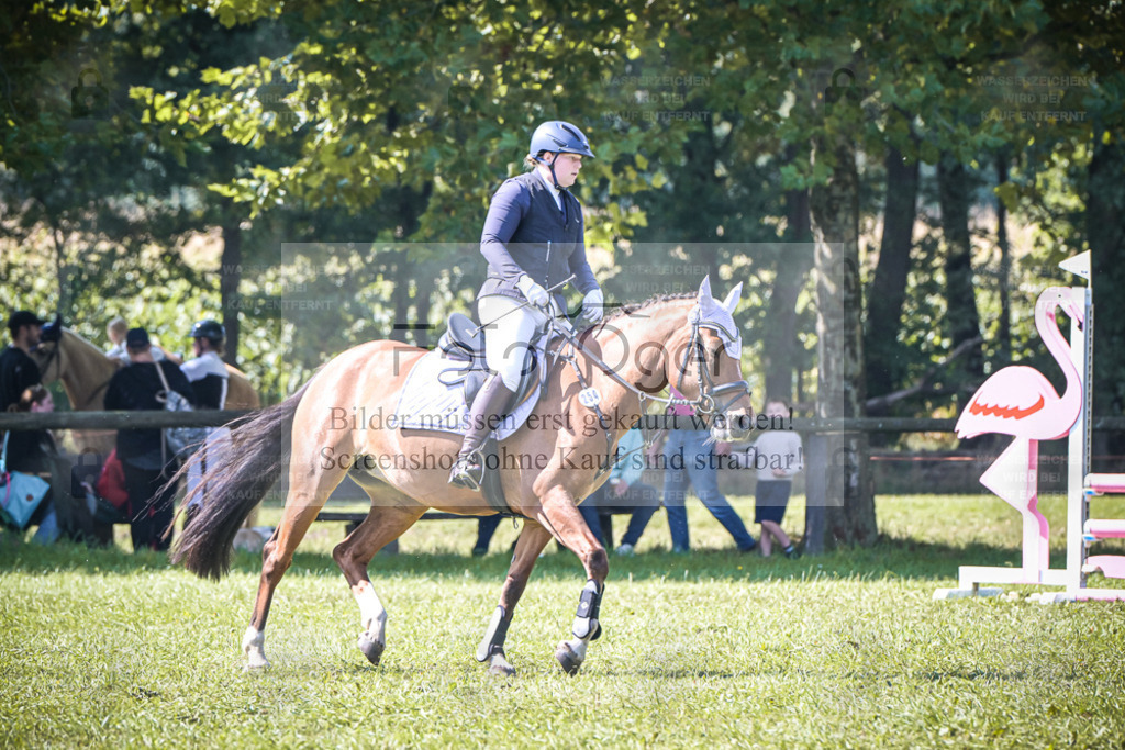 DOS_0886 | Entdecke hochwertige Reitturnierfotos von Foto Oger. Professionell, emotional und authentisch – jetzt Lieblingsmomente im Shop bestellen. - Realisiert mit Pictrs.com