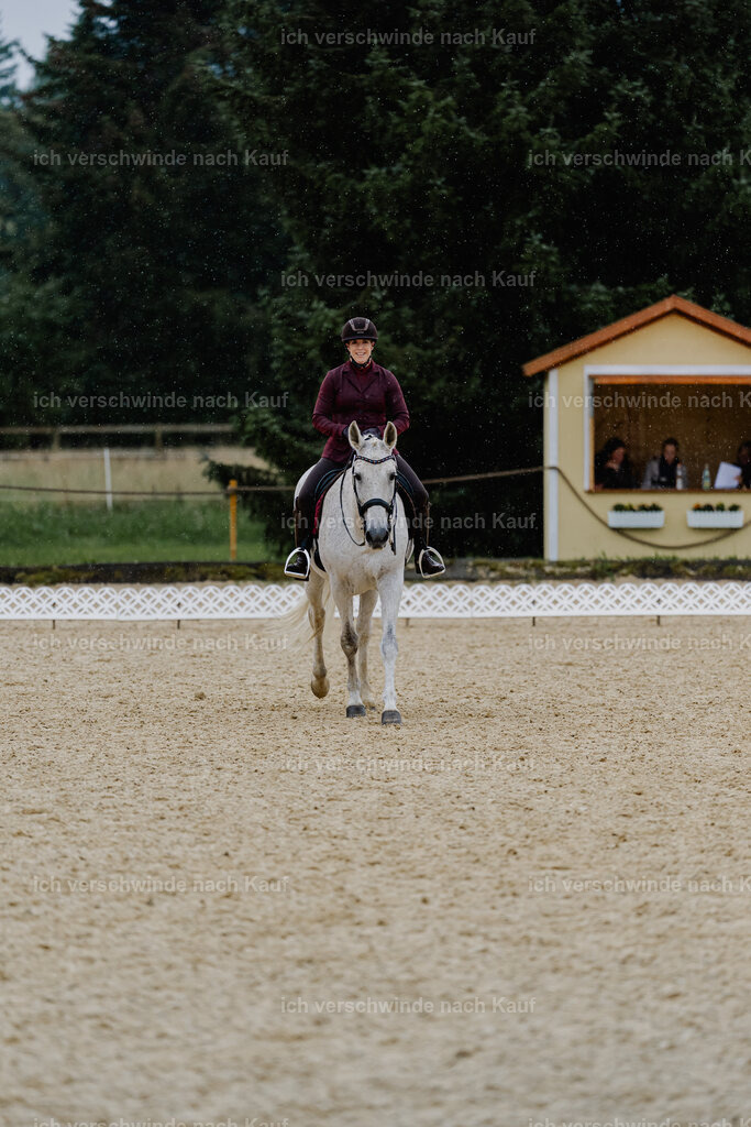 Kelly4_FHC2025-8603 | working equitationturnier fotograf videograf stoibphotography marixx film working equitation deutschland reitsport turnierfotografie eventfotografie equestrian events