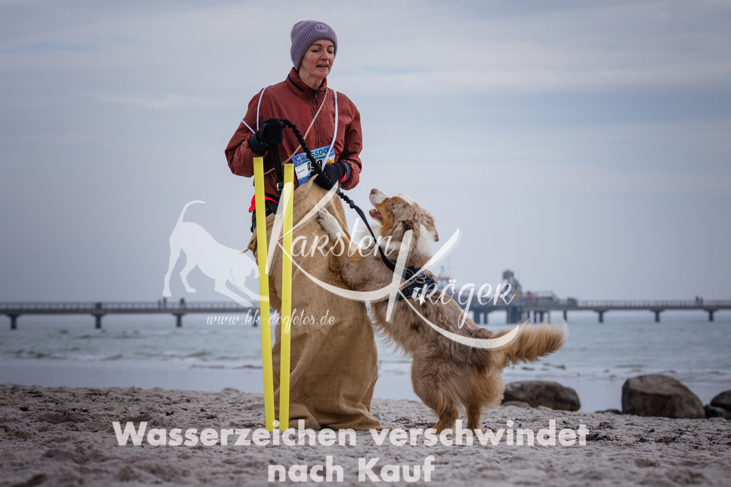 1146_ZZ90583 | kk-dogfotos