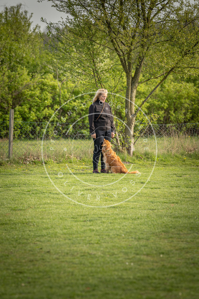 Pfotenfotografie_DV3A4858 | Hundefotografie, Tierfotograf, Pfotenfotografie, Fotoshooting Hund, Hunde Portrait, Hundesport, Hundeportraits, Heideshooting, Hunde, Sportfotograf, Hundefotograf, Turnierhundsport, THS,  - Realisiert mit Pictrs.com