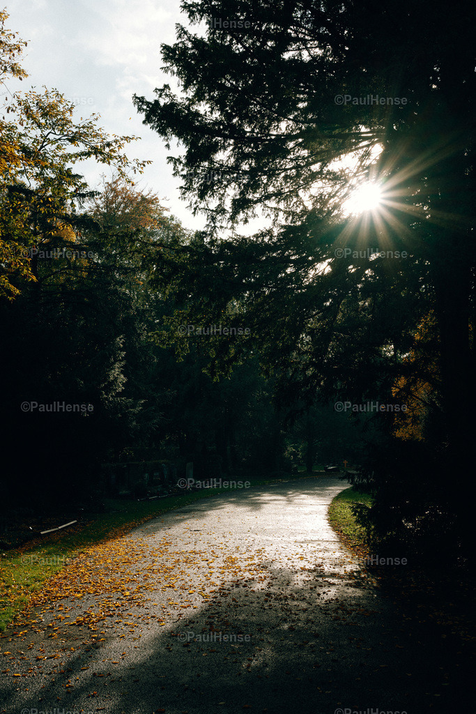 20221020_PaulHense_S0020_DSC00054 | paulhense - Realisiert mit Pictrs.com