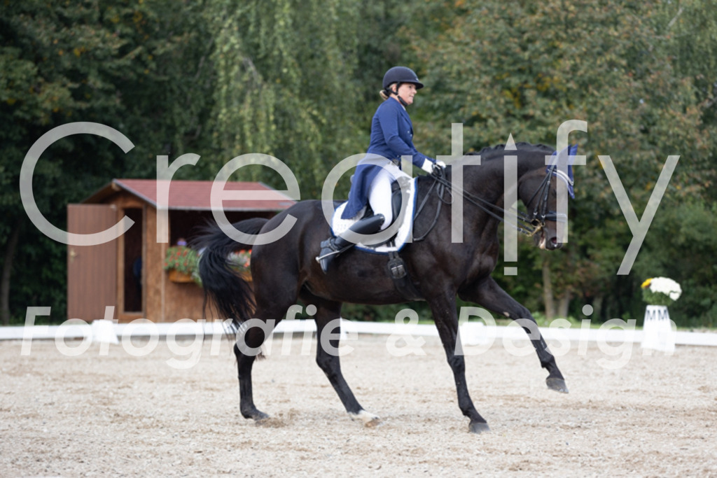 IMG_4901 | Creatify Fotografie