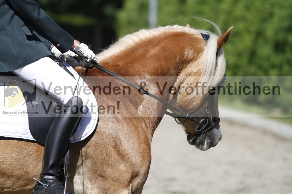 _MG_4272 | equestrian-live-com