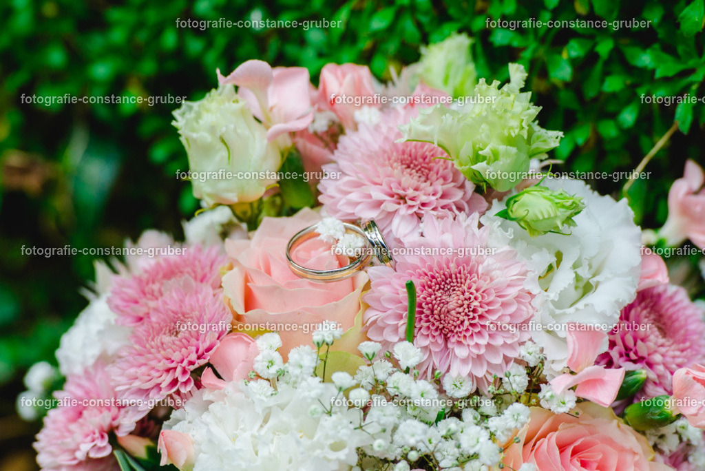 1010 | Fotografie Constance Gruber - Realisiert mit Pictrs.com