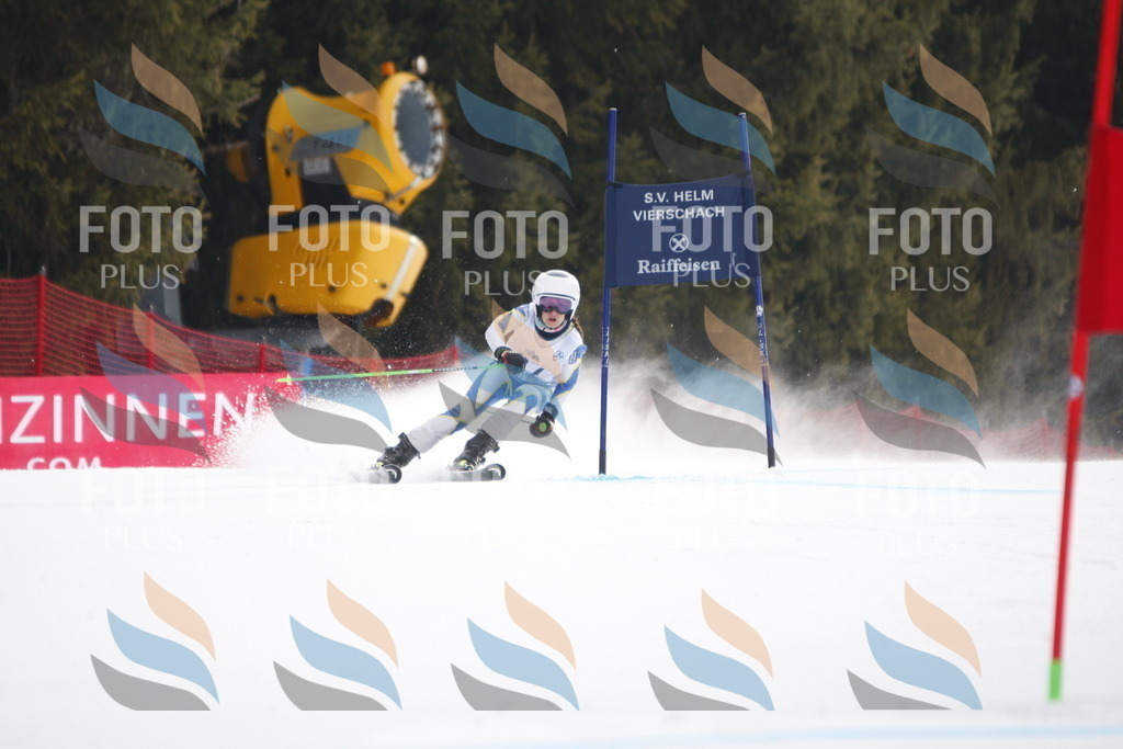 D4996 | holidayphoto