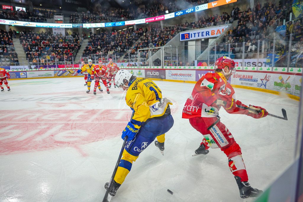 EHCB vs HCD 20260106_wb-0564 | Sportbilder, Sportfotograf, Hochzeits- und Eventfotografin, Flugshows, Portraits und Tiershooting, Aviation, Downhill, Nationalleague, Swissleague, International