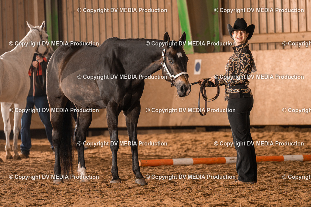 BAL01377 | dv-media-shop - Realisiert mit Pictrs.com