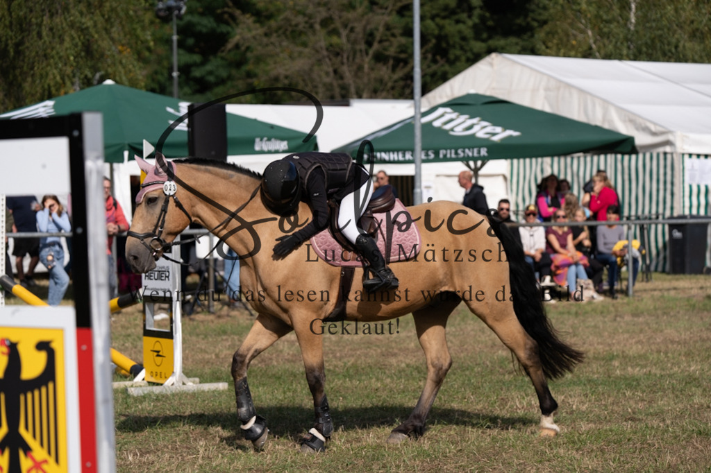 A7V08434 | Pferdefotograf