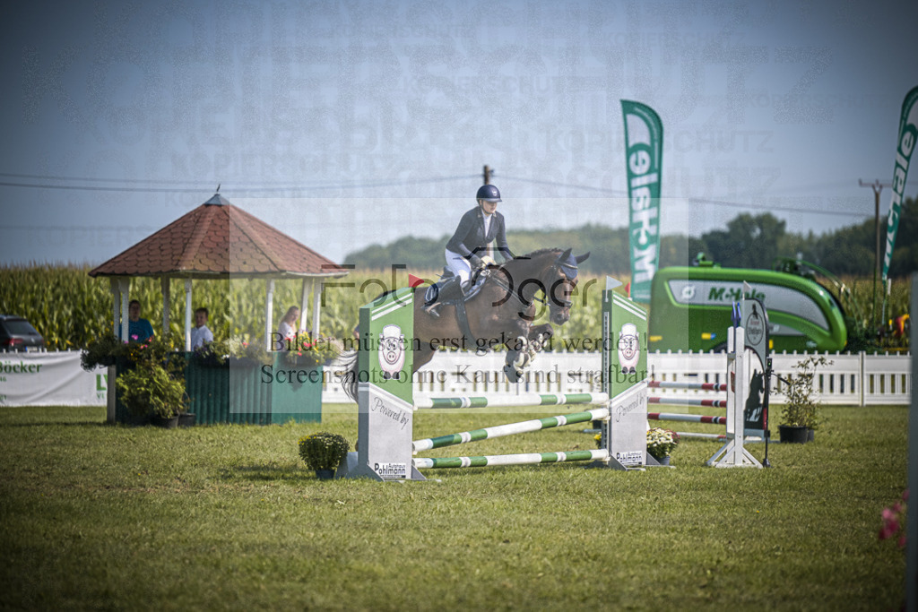 DOS_3071 | Entdecke hochwertige Reitturnierfotos von Foto Oger. Professionell, emotional und authentisch – jetzt Lieblingsmomente im Shop bestellen.Deutschlandweite Turnierfotografie. - Realisiert mit Pictrs.com