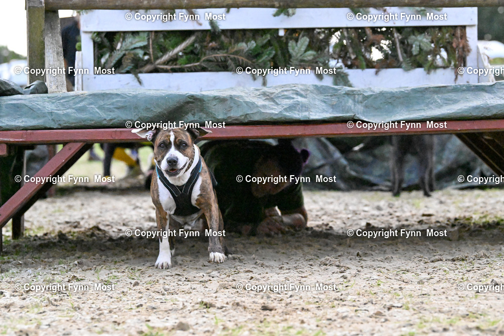 DSC_5065 | Hallo und herzlich Willkommen auf meiner Shop-Seite Fynn Most.

Ich wünsche Dir viel Spaß beim stöbern durch die Bilder, wenn Du Fragen hast oder Bilder vermisst, kannst du mir gerne eine Nachricht schreiben. - Realisiert mit Pictrs.com