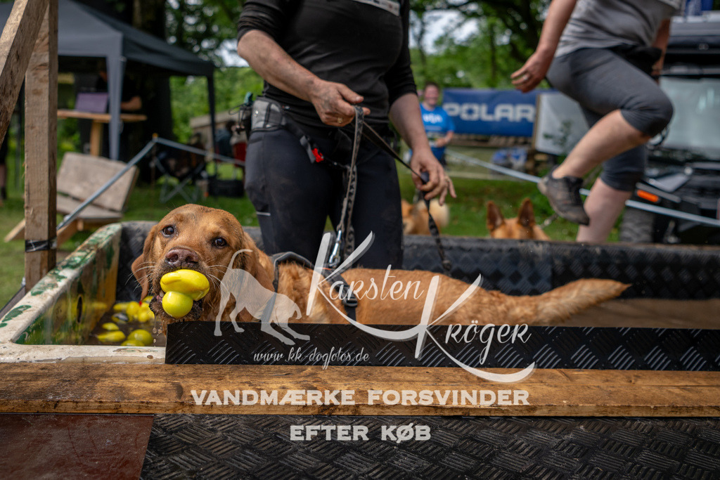 1116_ZZ93573 | kk-dogfotos