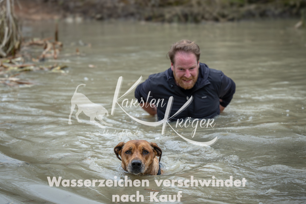 1644_ZZ96280 | kk-dogfotos