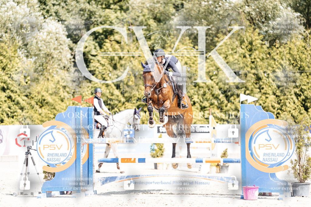 CK900867 | Turnierfotografie Pferdefotografie Trier Rheinland-Pfalz Pferdesport Reitsport Tierfotografie Sportfotografie Pferdevideo Pferdevideografie Equestrianvideography equestrianphotography  - Realisiert mit Pictrs.com
