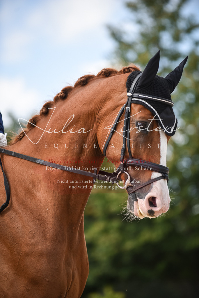 DSC_9222 | Pferde- und Turnierfotografie in Westsachsen. Pferdeportraits, Auftragszeichnungen und intuitive Kunst.