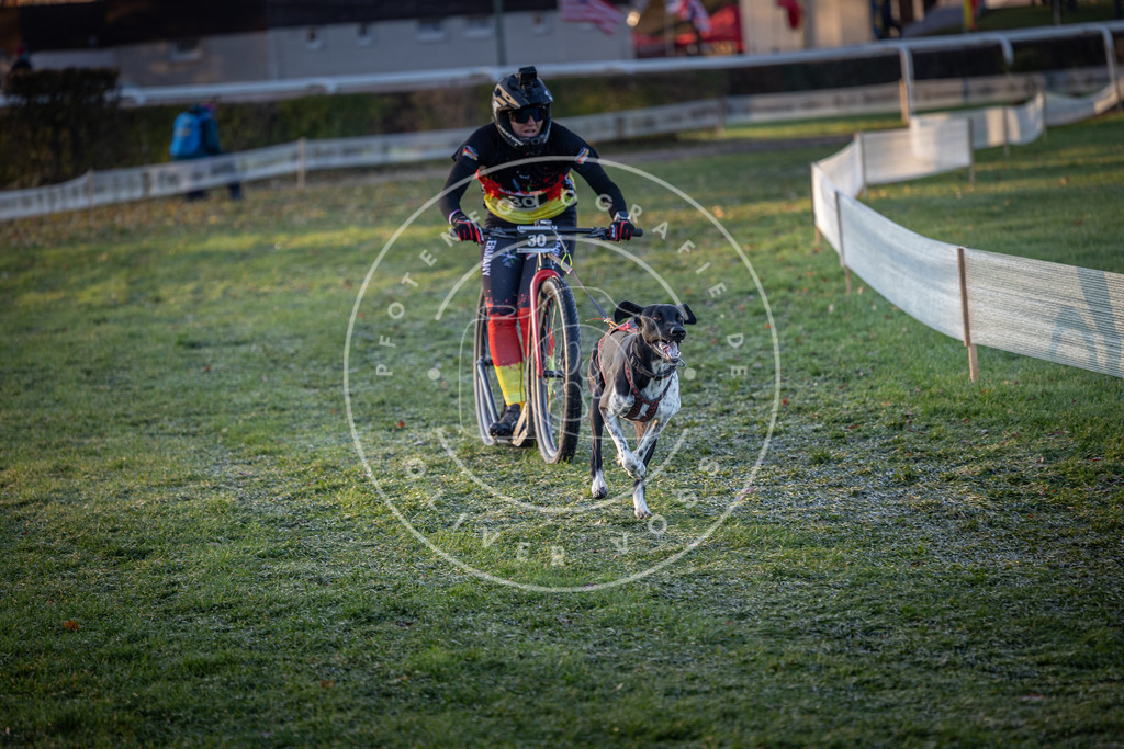 CaniXpix_0L8A1612 | Hundefotografie, Tierfotograf, Pfotenfotografie, Fotoshooting Hund, Hunde Portrait, Hundesport, Hundeportraits, Heideshooting, Hunde, Sportfotograf, Hundefotograf, Turnierhundsport, THS,  - Realisiert mit Pictrs.com