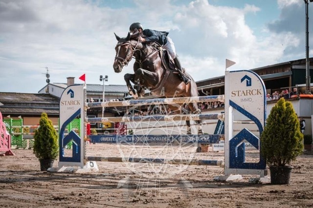 2B4A3654 | pixelfaenger - Realisiert mit Pictrs.com