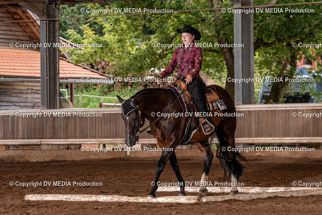 Erbach Tag 2-309 | dv-media-shop - Realisiert mit Pictrs.com