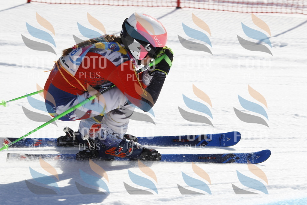 _U3G8824 | holidayphoto