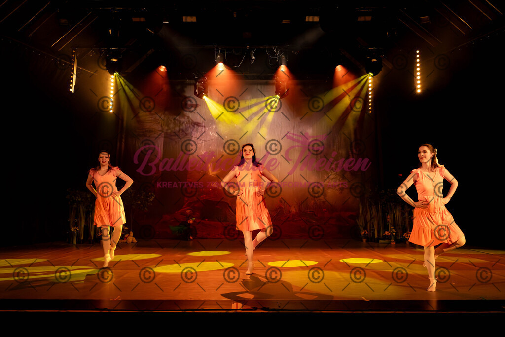 Ballettaufführung-343 | Bildershop Lem'n Entertainment - Realisiert mit Pictrs.com