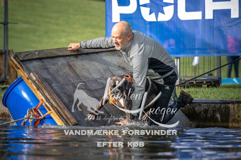 _ZZ935300706 | kk-dogfotos