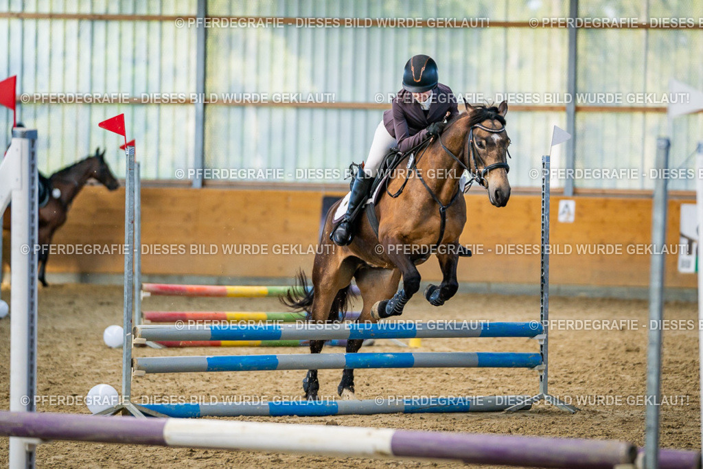 DSC01185 | Pferdegrafie